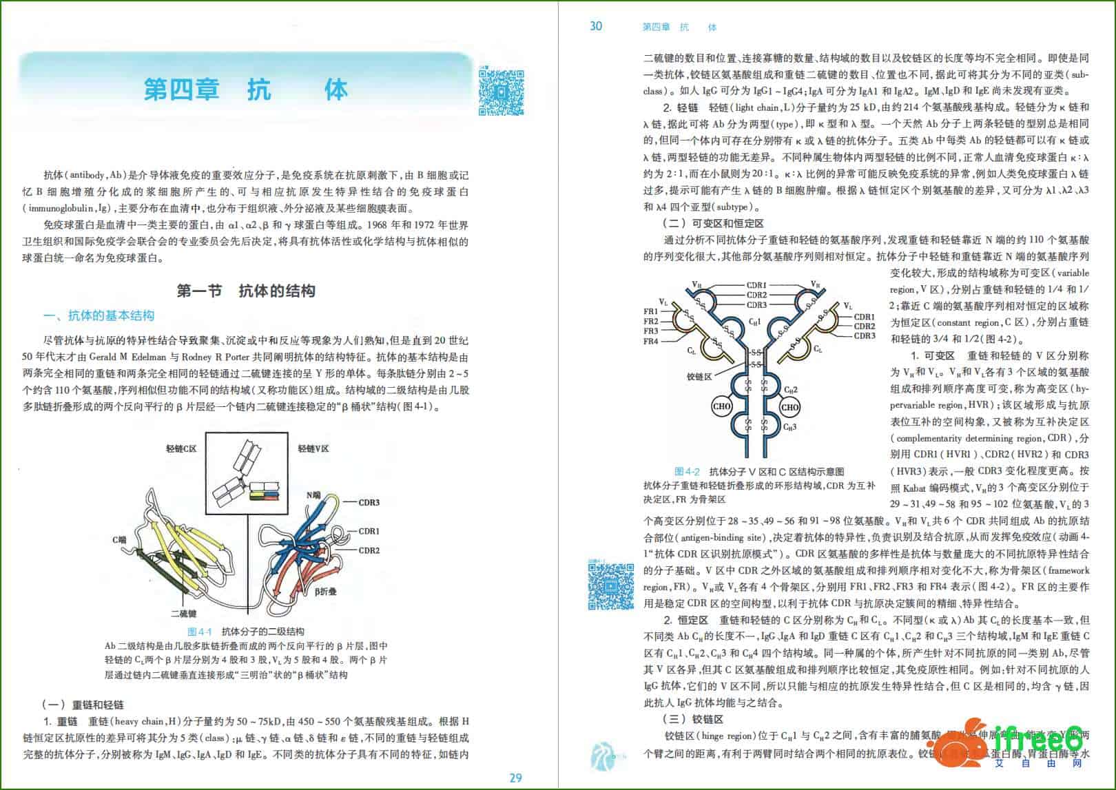 《医学免疫学》第9版 PDF-人卫版 | 艾自由网 | ifree6.cn