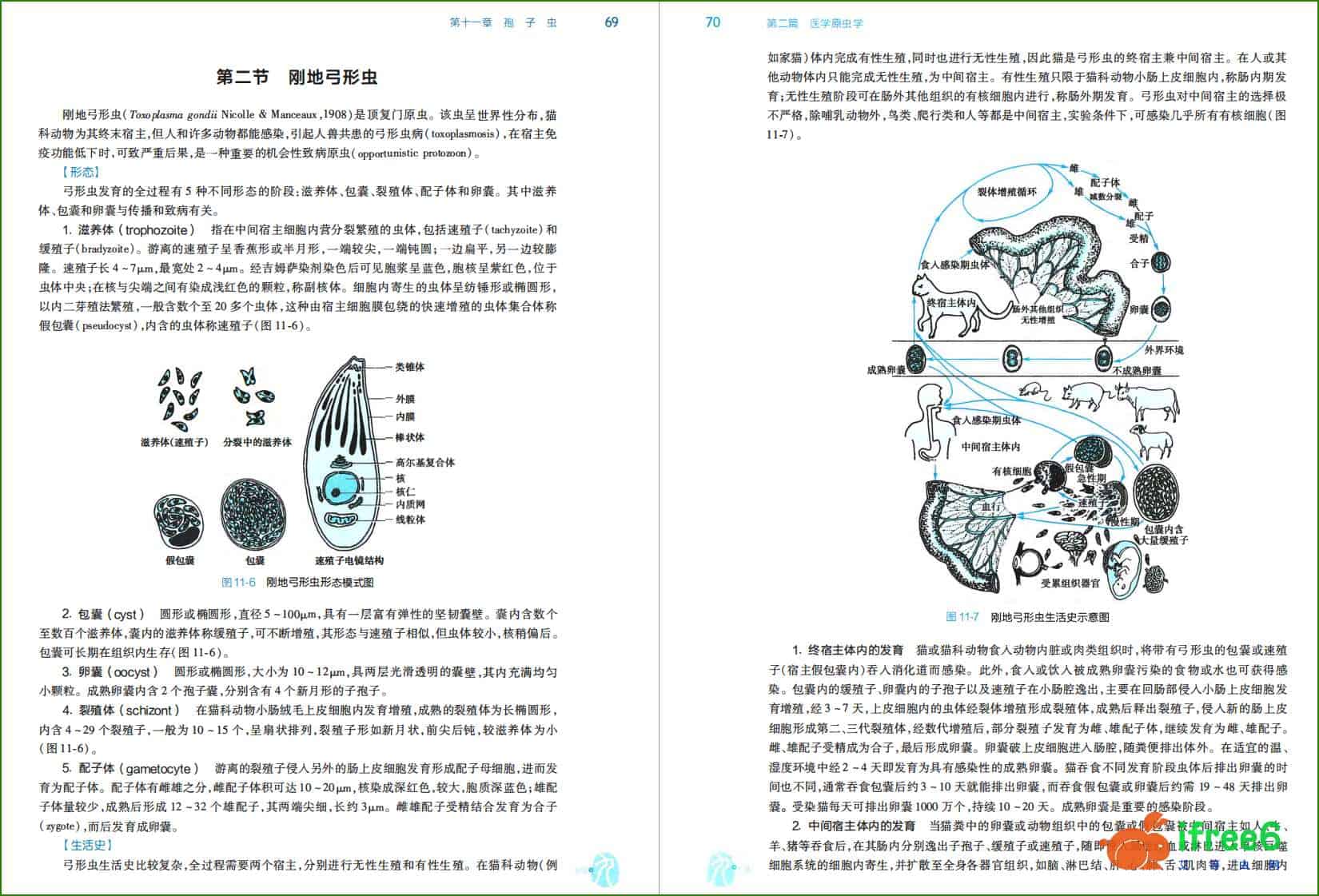 《人体寄生虫学》第9版PDF | 艾自由网 | ifree6.cn
