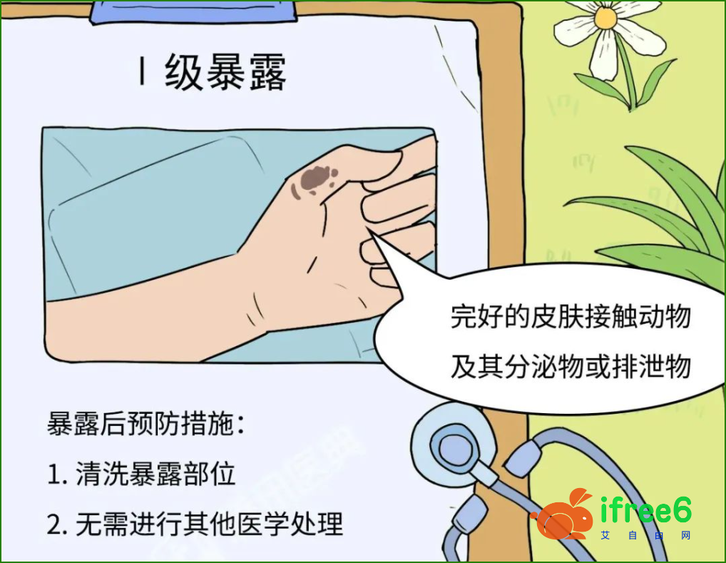 不慎被狗咬，什么情况下不用打疫苗？ | 艾自由网 | ifree6.cn