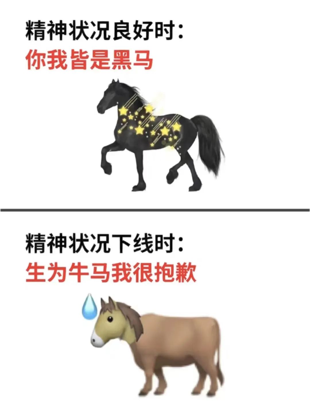 发现了一种很牛X的考研心态…… | 艾自由网 | ifree6.cn