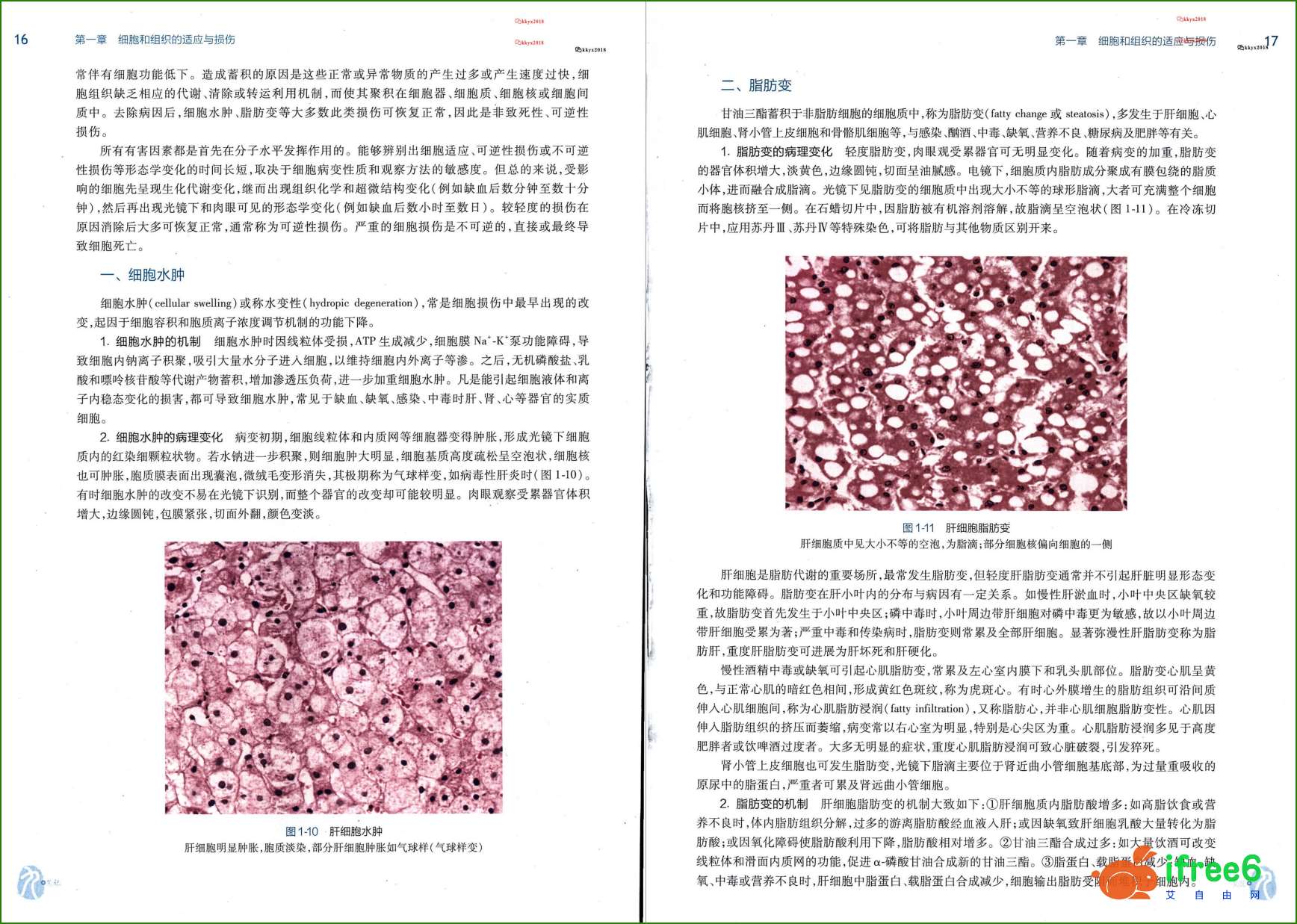 《病理学》第9版PDF | 艾自由网 | ifree6.cn