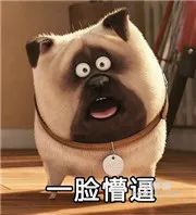 最全的41种法定传染病潜伏期 | 艾自由网 | ifree6.cn