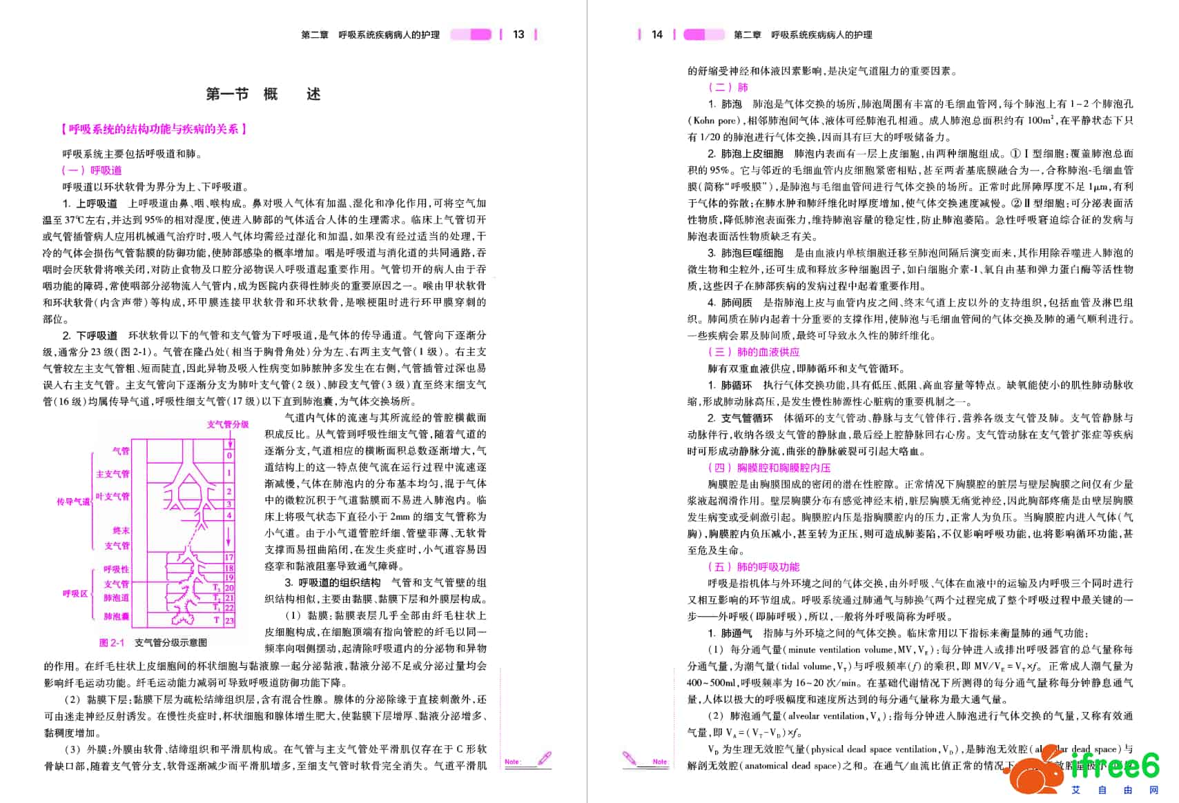 《内科护理学》第7版 PDF | 艾自由网 | ifree6.cn