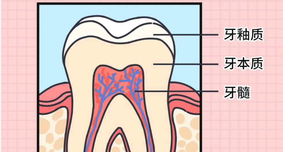 不起眼的牙齿问题，可能会让你负债累累！ | 艾自由网 | ifree6.cn