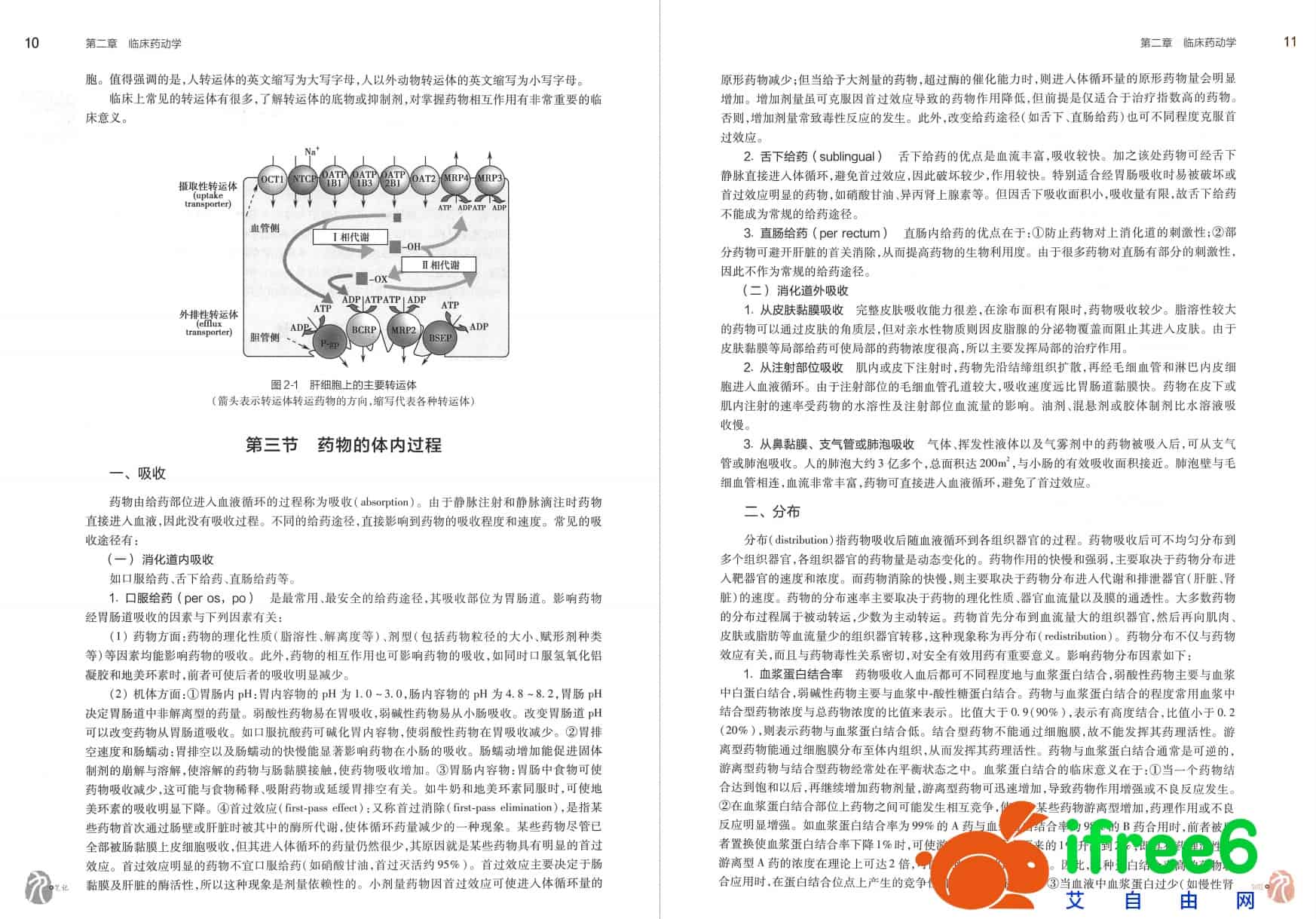 《临床药理学》第6版PDF | 艾自由网 | ifree6.cn