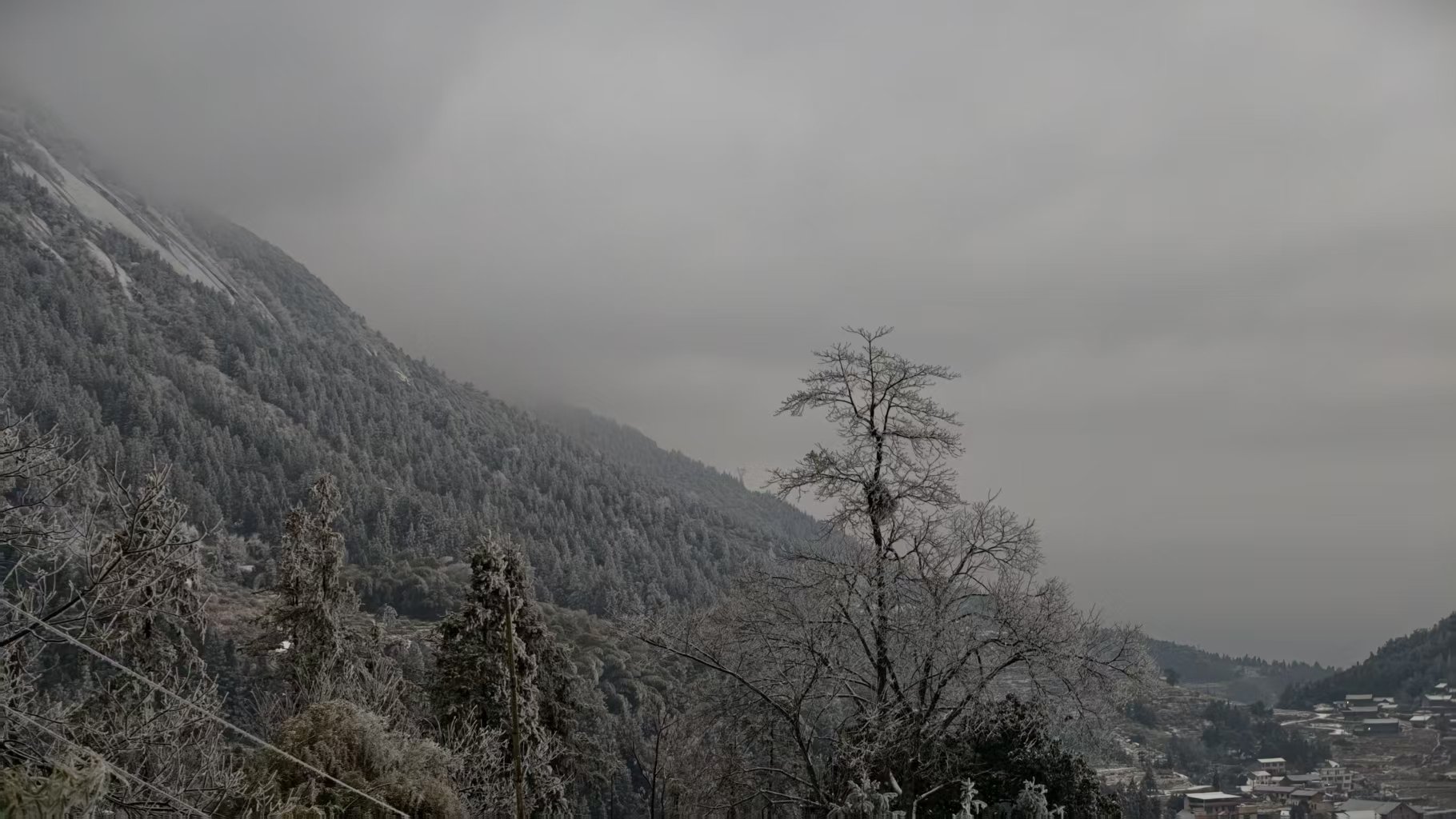 2026年1月回顾 | 艾自由网 | ifree6.cn